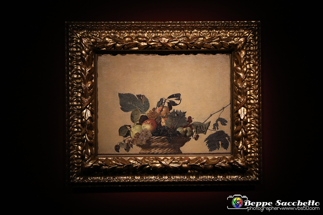 VBS_7854 - La canestra di Caravaggio.jpg